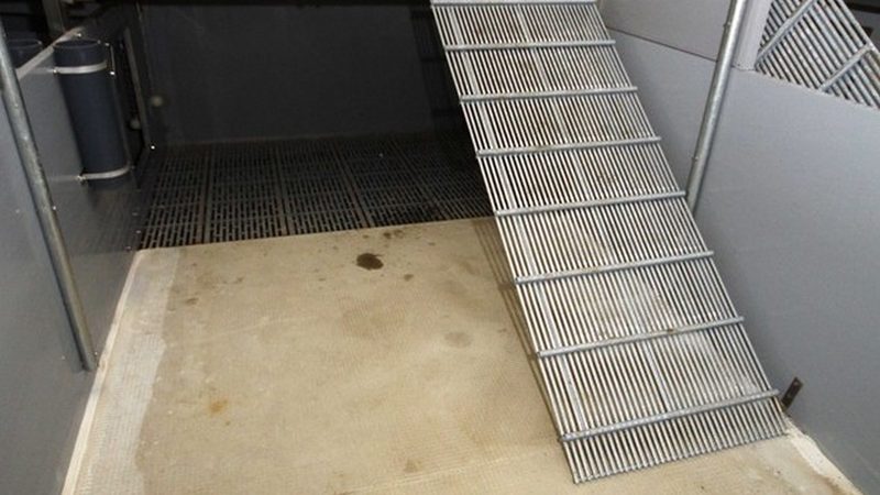 杭州本地直播带货公司怎么选